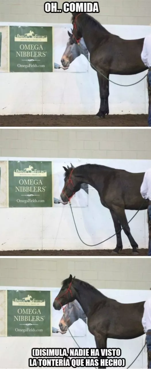 cuando te crees las noticias anime del 1° de abril