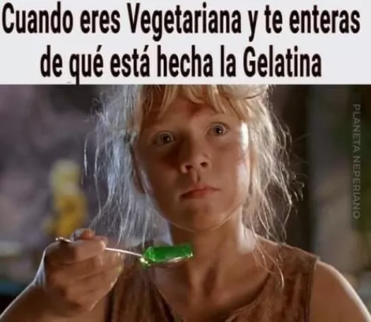 gelatina 