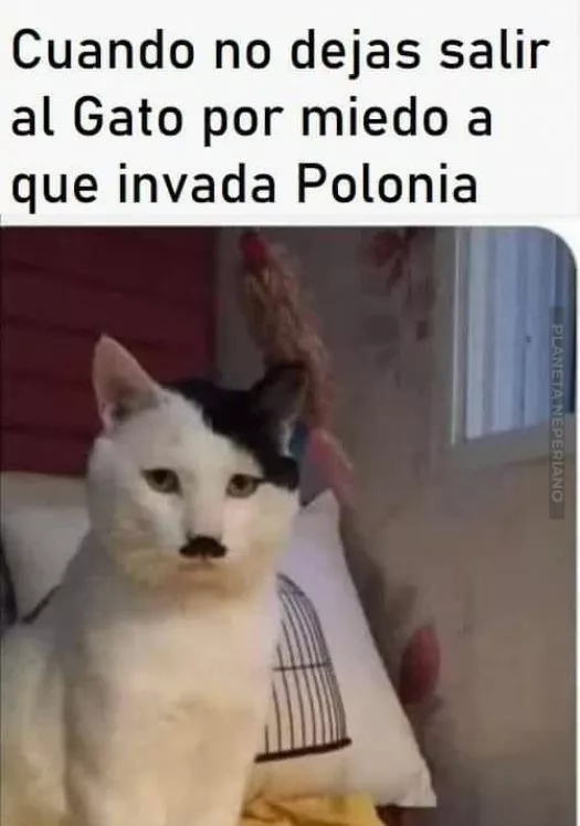 polonia
