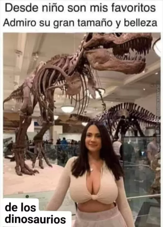 que grandes son los dinosaurios