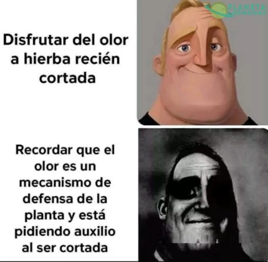 Eso no te dejará en paz por un rato 