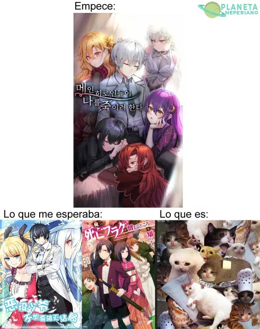 Estoy llorando un poquito mas de lo que esperaba