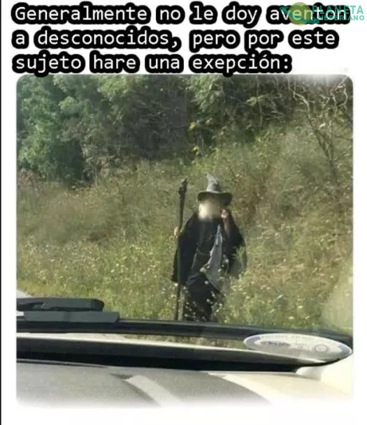 Quien no dejaría subir a Dumbledore 