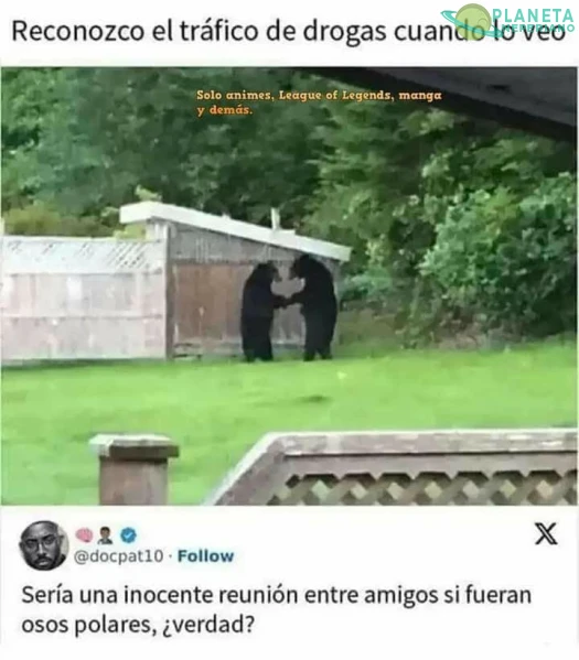 Que seria si fuesen osos grises?