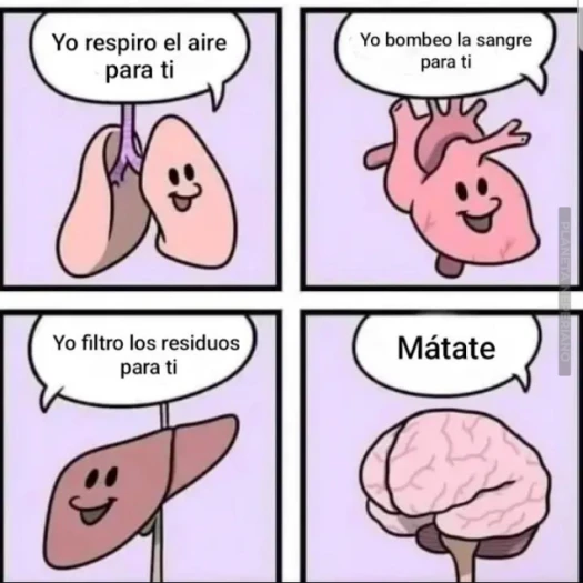 el cerebro es quien hace todo, y decide si todo acaba