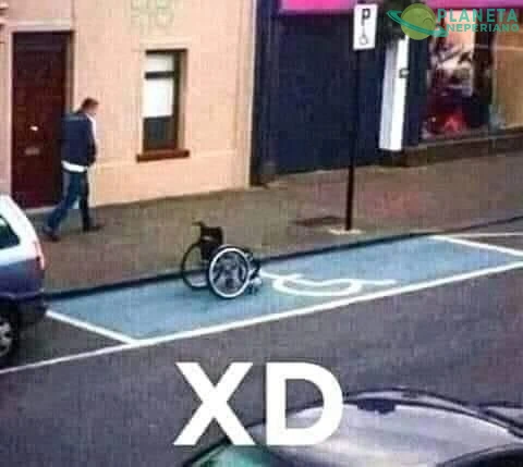 XDDDDDD