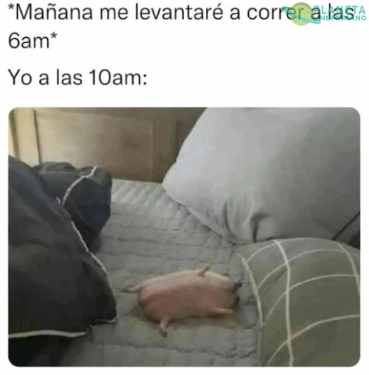 Si soy. XD