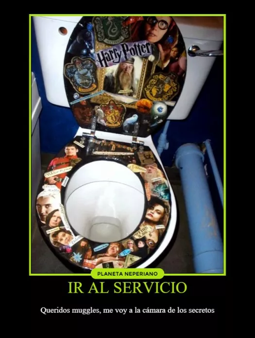 Ir al servicio