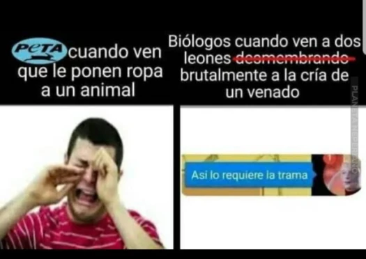 y tiene razon en eso :v