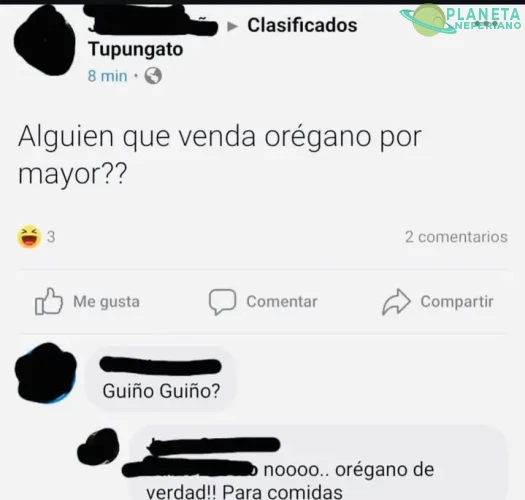 🤣 *guiño* *guiño*