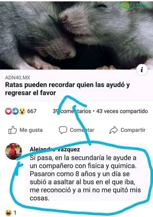 Tremendo 