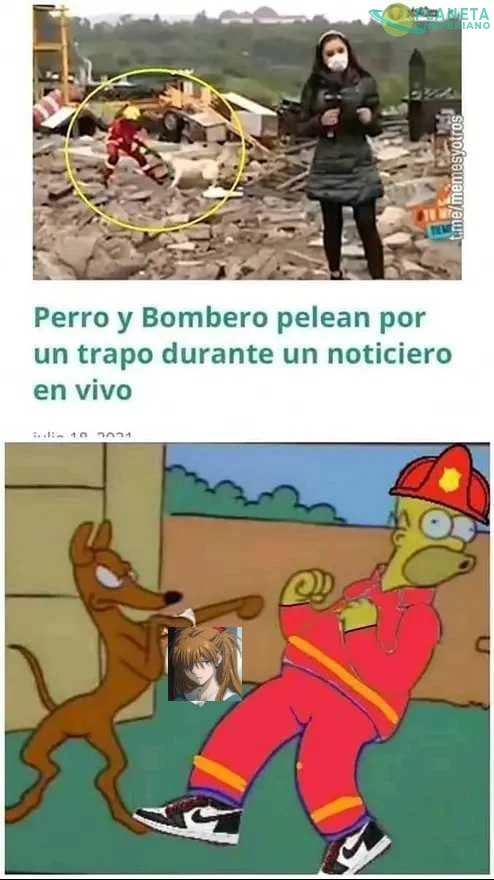 El perro gano