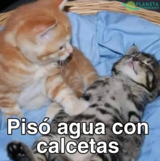 Nunca me pasó. XD
