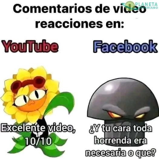 Tal cual 