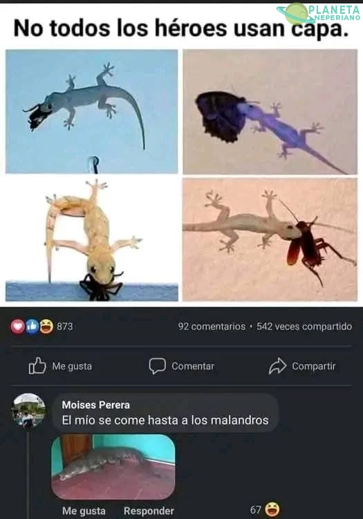 Quiero ese ultimo