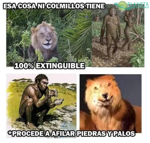 Domados por el bipedo capaz de crear y usar herramientrs
