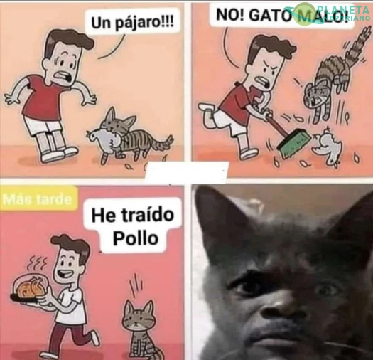 Kuak :vv