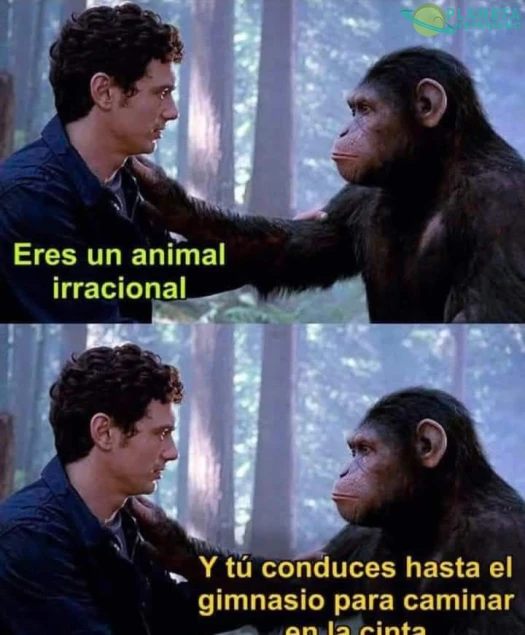 No se quién es el animal.