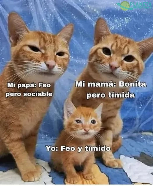 Mala repartida de genetica