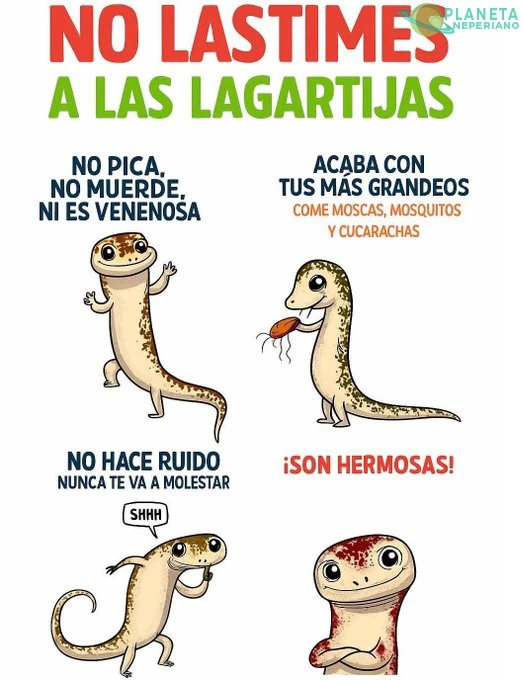 Lagartijas :D