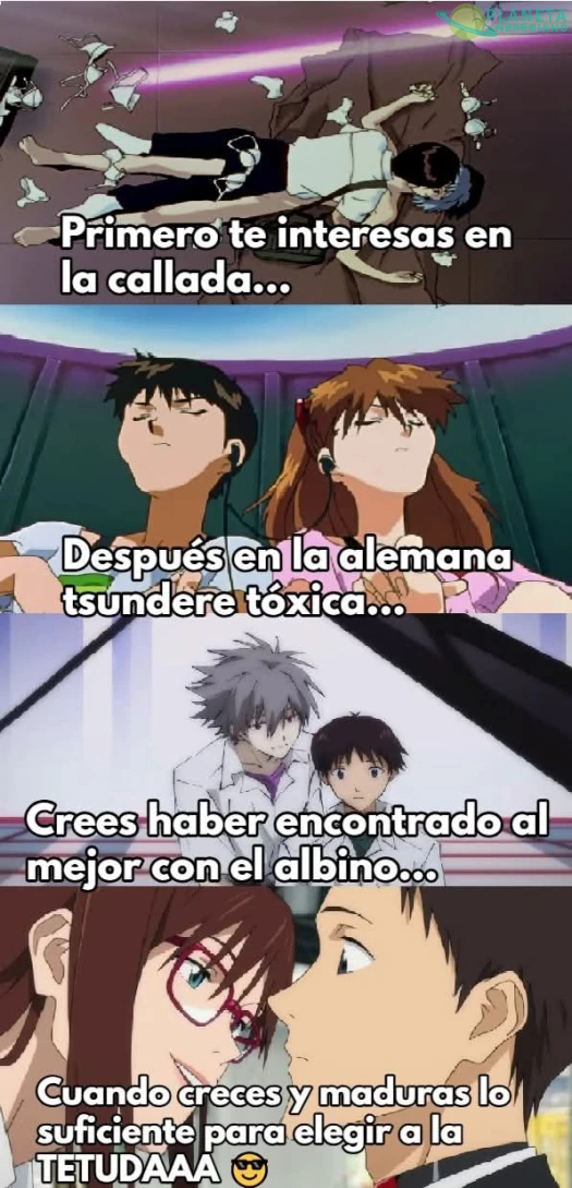 maduraste Shinji, y escogiste BIEN