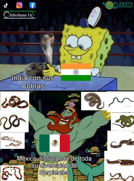 Al menos india las trata con respeto