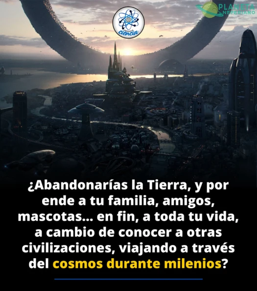La propuesta sin retorno