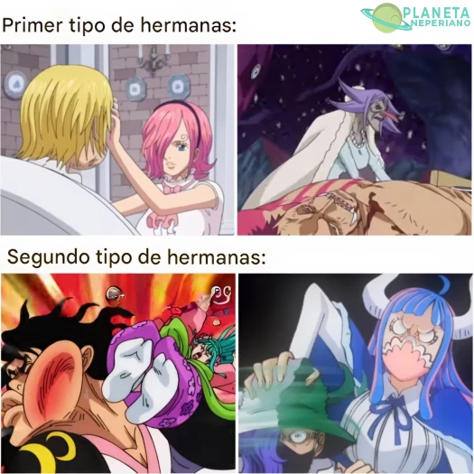 en one piece solo vienen dos modelos de nee-chans