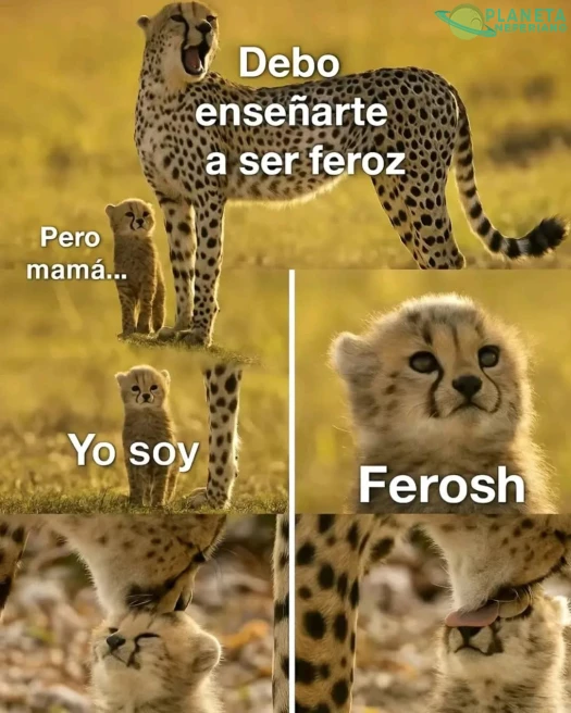 Ferosh