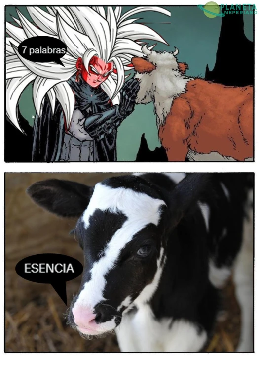 7 palabras E-S-E-N-C-I-A