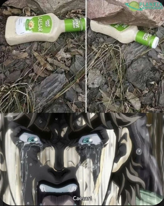 caesaaaaaaaaaaaaarrr