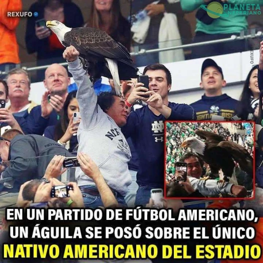 Invoco a su espíritu animal