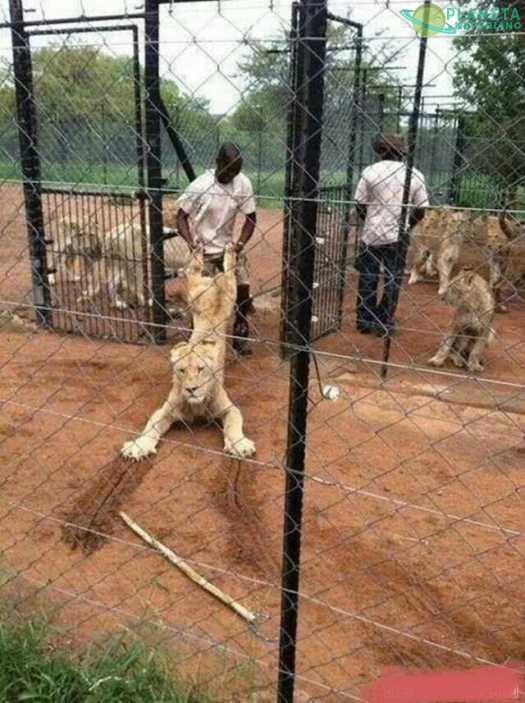 ¿Le están robando o lo están robando? 🤔🤔🤔