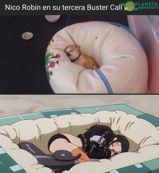Y sin embargo, esta será su tercera Buster call superada