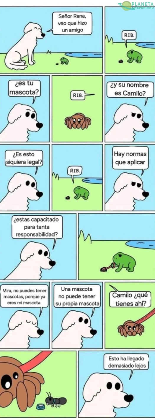 ahora todo el mundo quiere tener mascotas y nada de Hijos