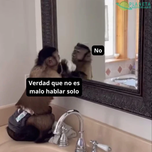 quien no lo habla son si mismo: mi cerebro :tienes razon :s