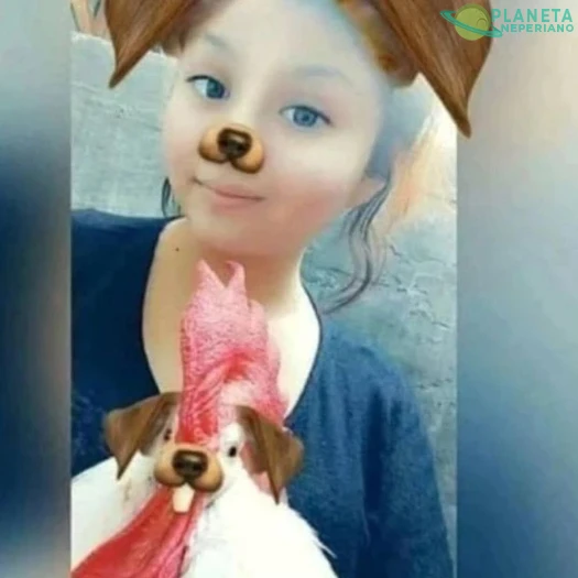 No MMS el gallo 😂