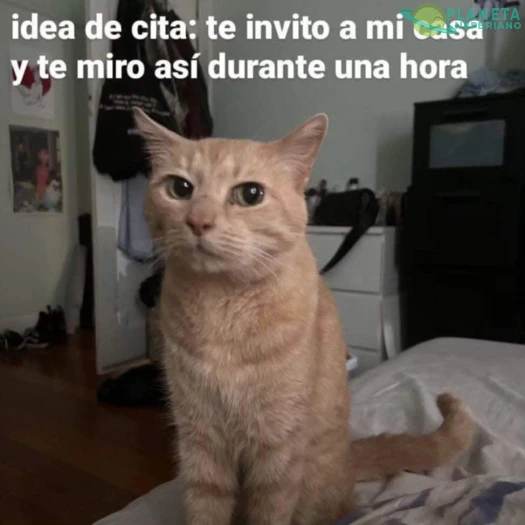 mimente:nunca habia llegado tan lejos