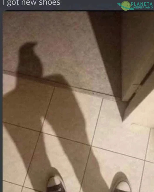 Los papás de la vaca y el pollito