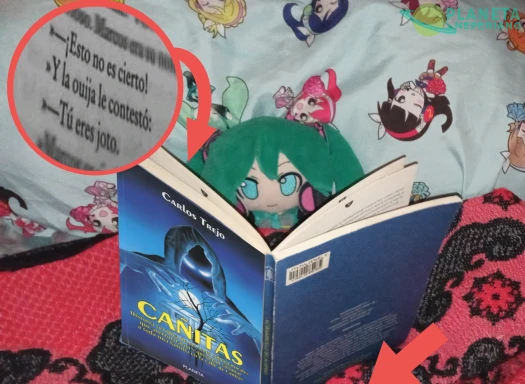 Literatura de calidad