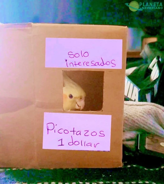 Que gran oferta 🤣