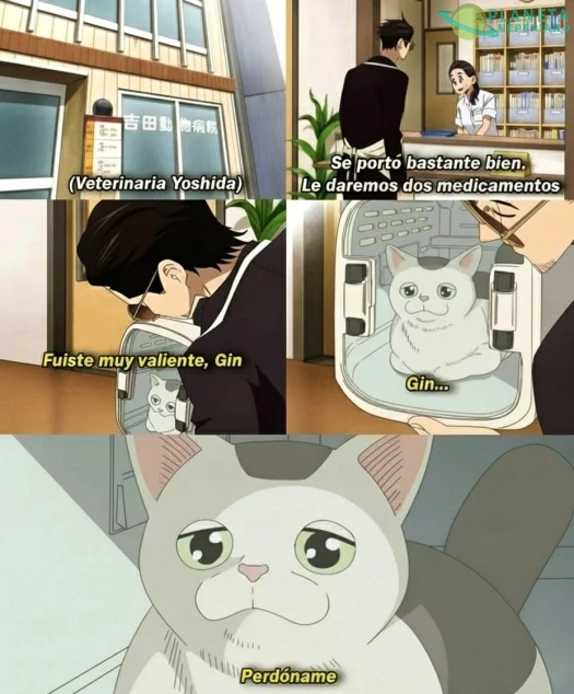 Contexto: Le quitaron los cocos 🥚🥚