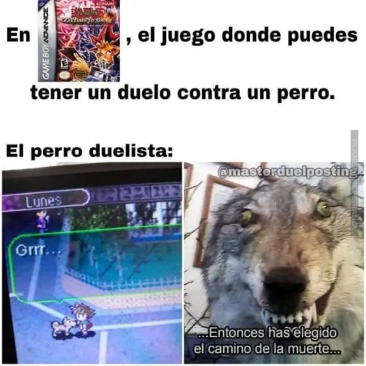 Para rematar es difícil vencer a ese perro