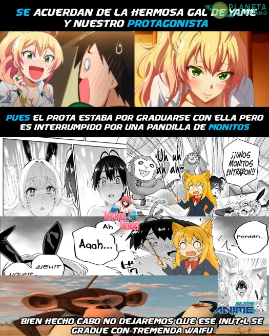 A hacer Sopa du macaco con esos monos entrometidos