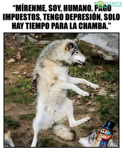 Sería ofensivo si no fuera real...