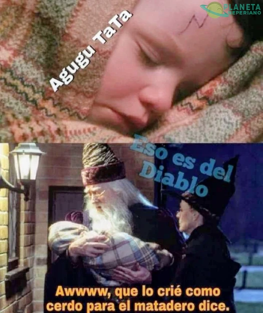 pinche albus