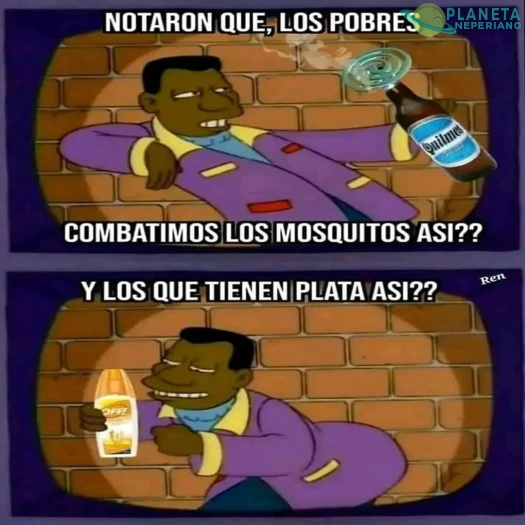Mosquitos & clases
