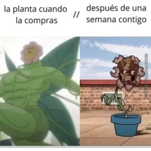 Admito que me paso una vez 😅