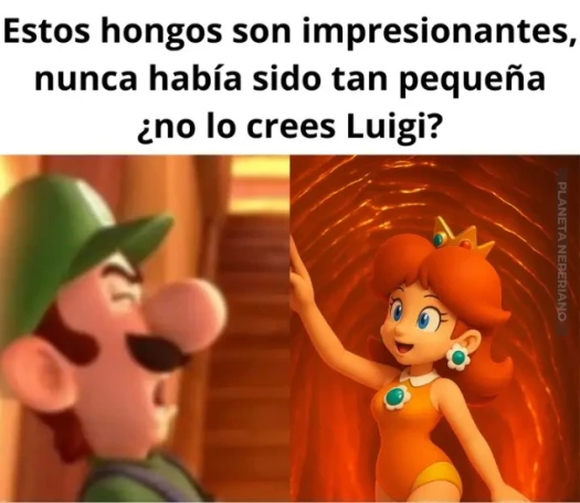 Porque tuve que entender la referencia?