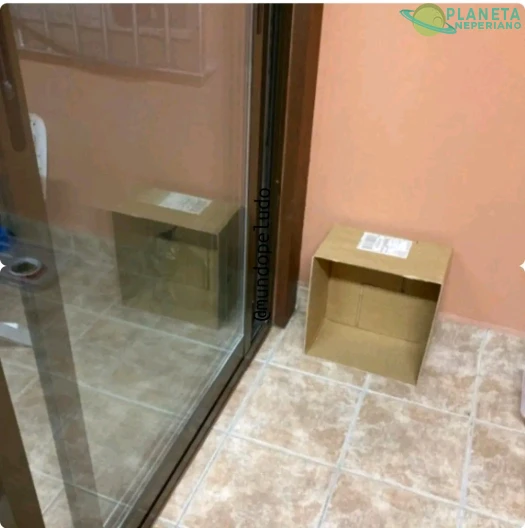 El gato de Schrödinger